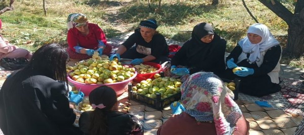 Vanlı kadınlar kurdukları kooperatifle aile bütçelerine katkı sağlıyor