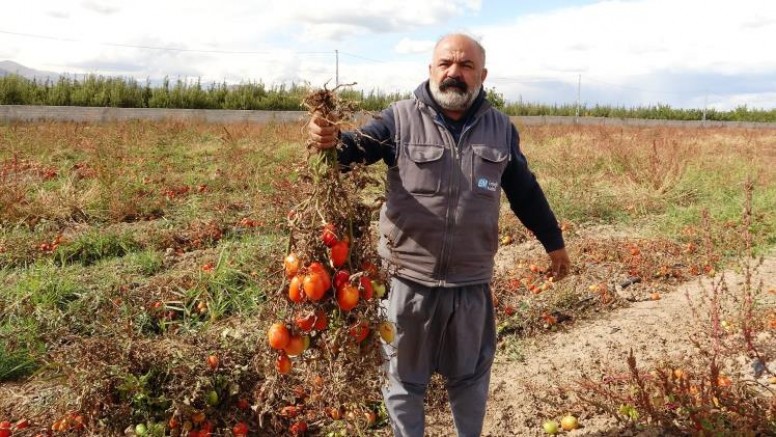 Soğuk hava üreticileri vurdu