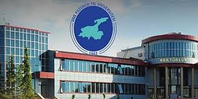 Van YYÜ’den Rojin Kabaiş açıklaması